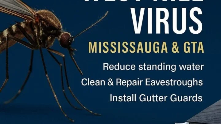West Nile Virus unseen prevention tip: Keep your eavestrough clean!