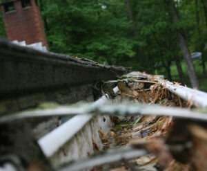 Clogged eavestrough filled with dead leaves and debris, with trees and a brick building visible in the background