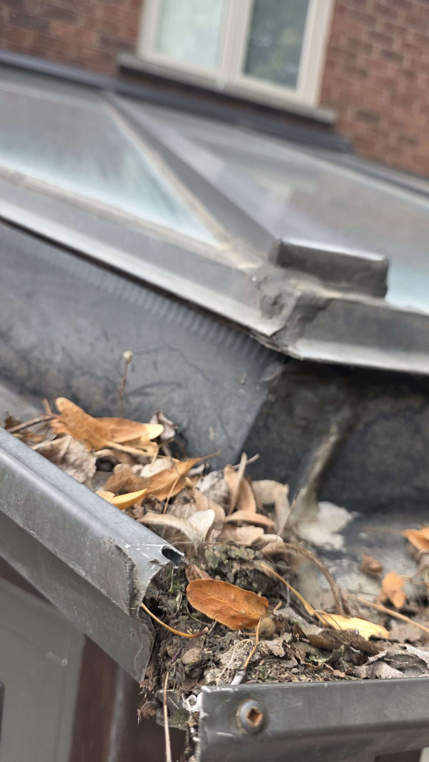 Damaged eavestrough corner with a separated joint and accumulated leaves and debris